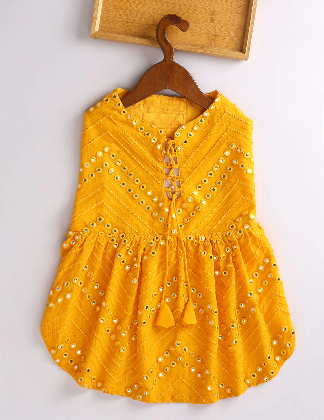 Dogs Allover Mirror Work Sleeveless Embroidered Dress - Image 2